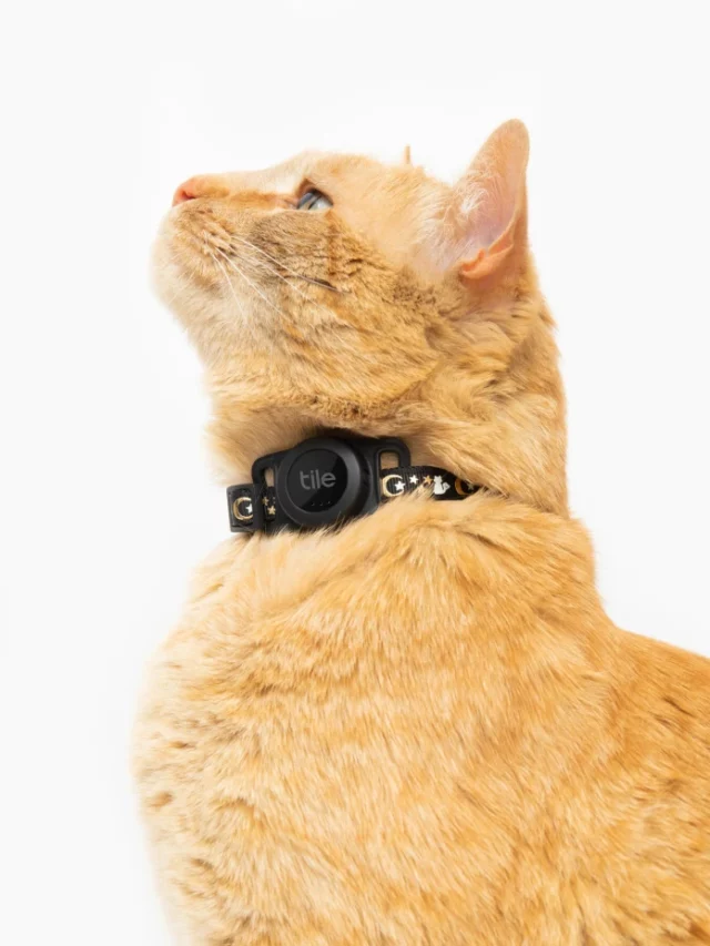 'Tile for Cats' is lauched by Life360's AirTag with battery up to 3 years